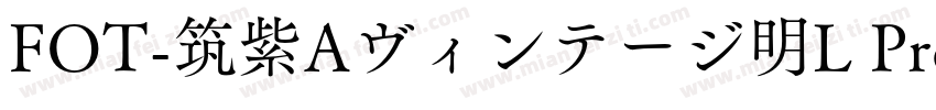 FOT-筑紫Aヴィンテージ明L Pro R字体转换